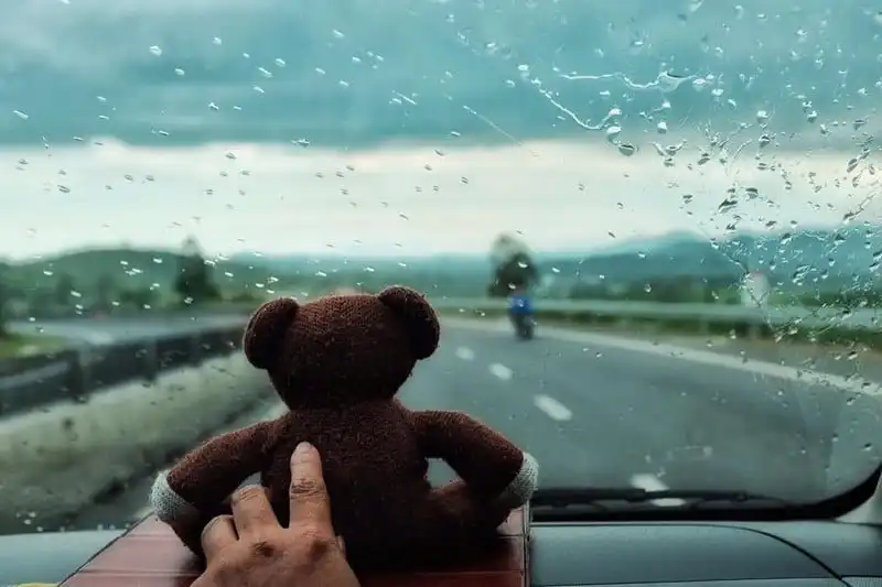 wanderlust-tips-chang-trai-du-lich-xuyen-viet-cung-gau-teddy-10