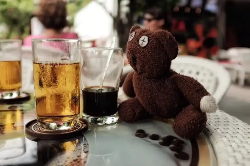 wanderlust-tips-chang-trai-du-lich-xuyen-viet-cung-gau-teddy-12