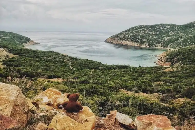 wanderlust-tips-chang-trai-du-lich-xuyen-viet-cung-gau-teddy-13