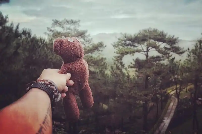 wanderlust-tips-chang-trai-du-lich-xuyen-viet-cung-gau-teddy-15