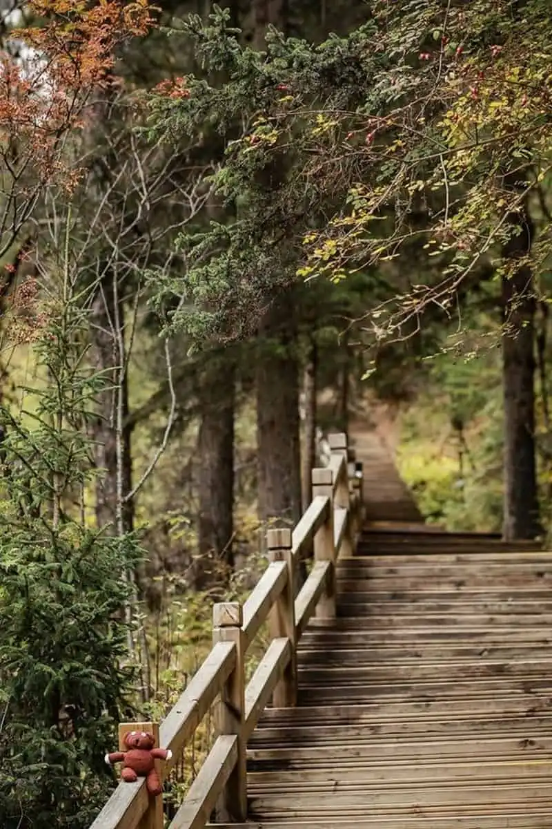 wanderlust-tips-chang-trai-du-lich-xuyen-viet-cung-gau-teddy-17