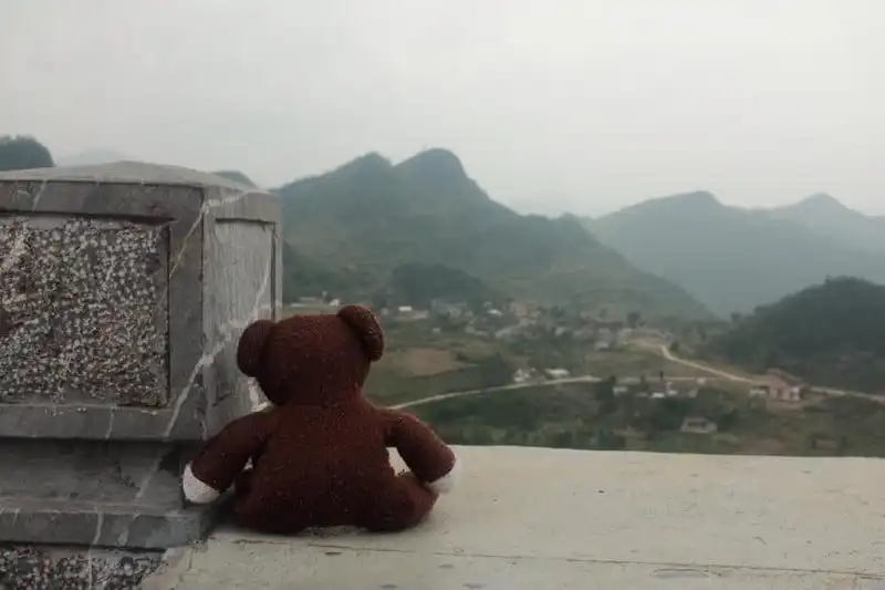 wanderlust-tips-chang-trai-du-lich-xuyen-viet-cung-gau-teddy-2