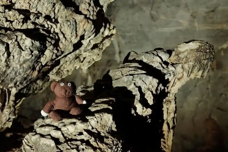 wanderlust-tips-chang-trai-du-lich-xuyen-viet-cung-gau-teddy-5