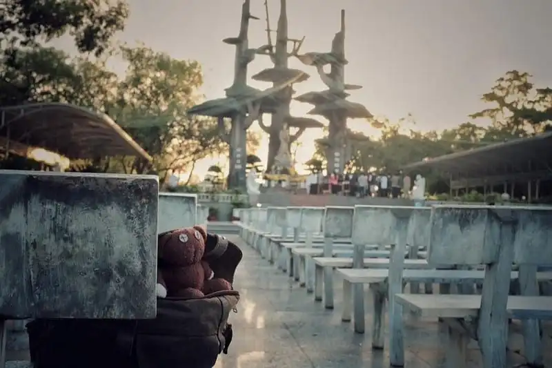 wanderlust-tips-chang-trai-du-lich-xuyen-viet-cung-gau-teddy-6