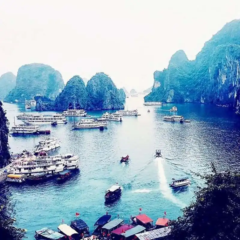 wanderlust-tips-du-khach-uc-kham-pha-viet-nam-10-ngay-voi-200usd-13