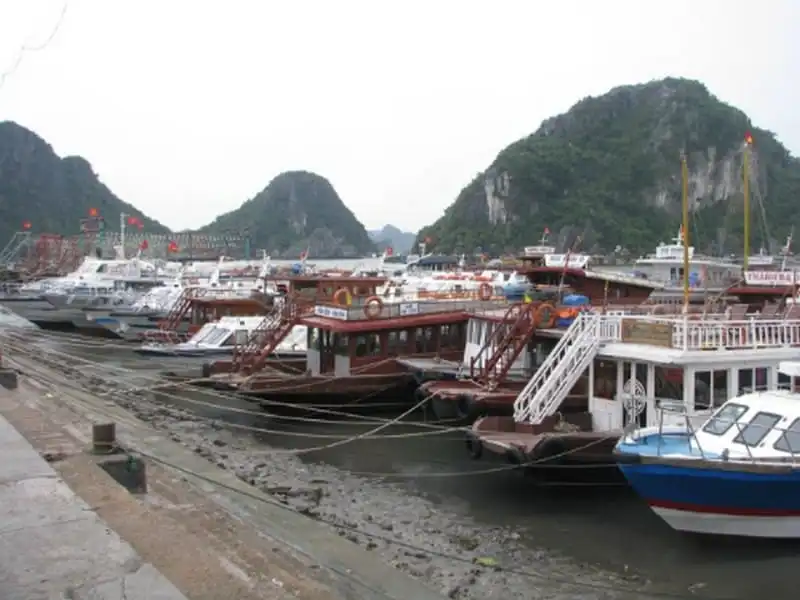 Quảng Ninh công bố đường dây nóng hỗ trợ du khách 5 wanderlust-tips-duong-day-nong-quang-ninh-ho-tro-du-khach-trong-mua-mua-bao-1