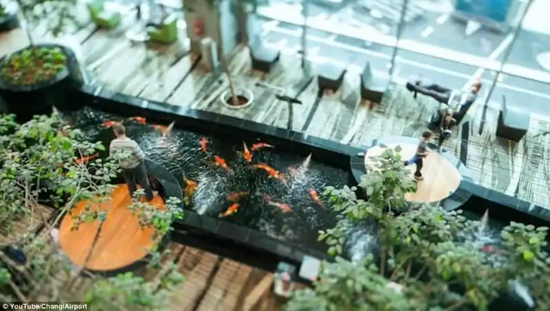 wanderlust-tips-kham-pha-changi-san-bay-tot-nhat-the-the-gioi-5