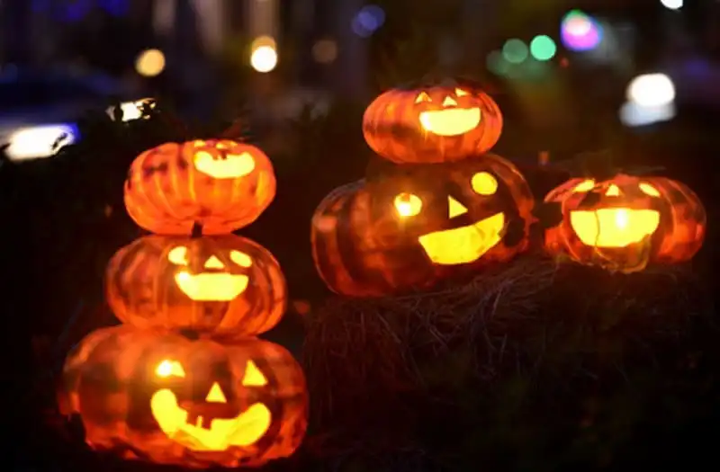 wanderlust-tips-khu-vuon-hang-tram-qua-bi-ngo-o-sai-gon-chao-don-le-hoi-halloween-11