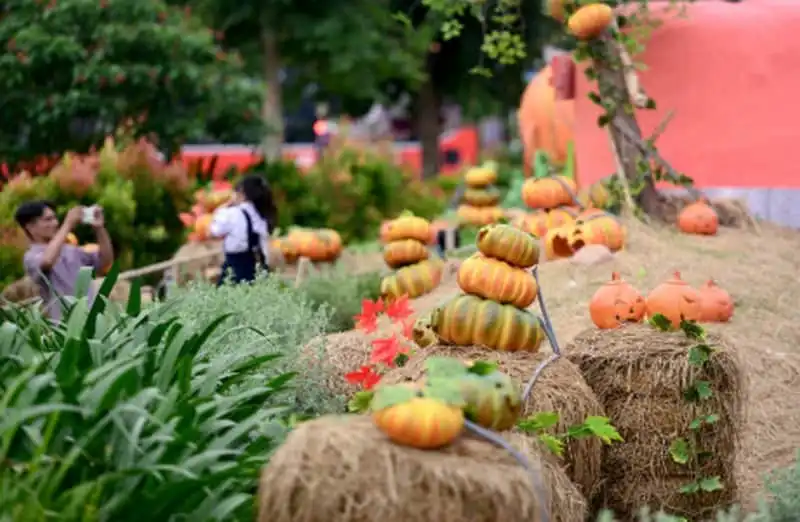 wanderlust-tips-khu-vuon-hang-tram-qua-bi-ngo-o-sai-gon-chao-don-le-hoi-halloween-2