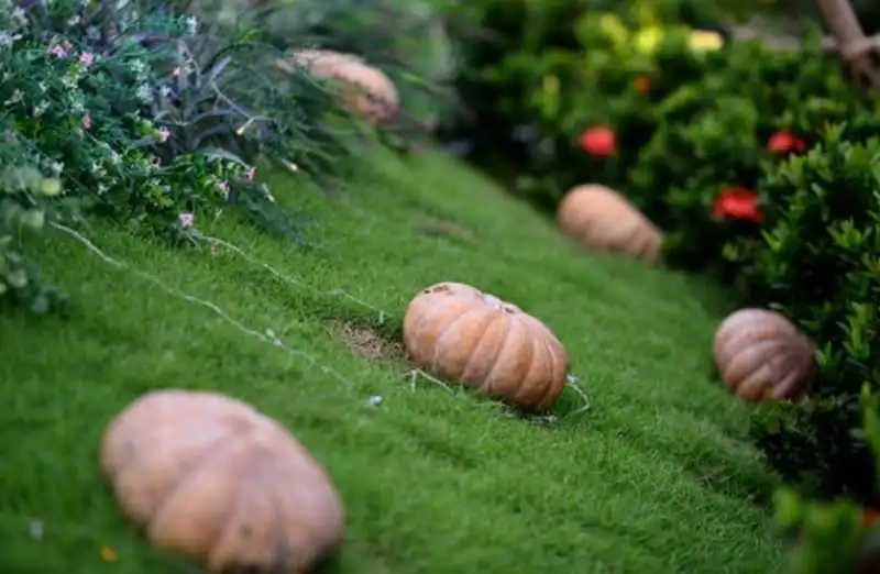 wanderlust-tips-khu-vuon-hang-tram-qua-bi-ngo-o-sai-gon-chao-don-le-hoi-halloween-4