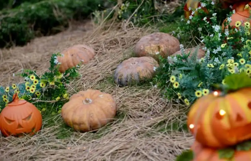 wanderlust-tips-khu-vuon-hang-tram-qua-bi-ngo-o-sai-gon-chao-don-le-hoi-halloween-5