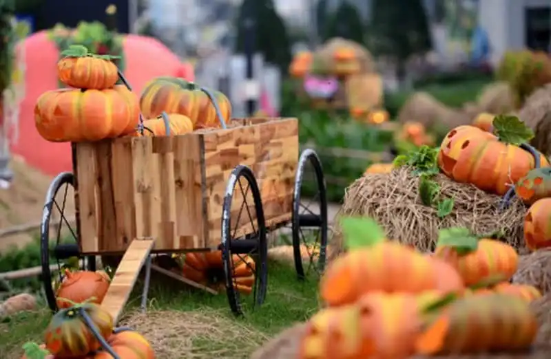 wanderlust-tips-khu-vuon-hang-tram-qua-bi-ngo-o-sai-gon-chao-don-le-hoi-halloween-7