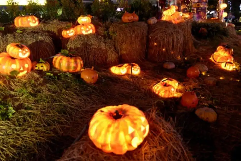 wanderlust-tips-khu-vuon-hang-tram-qua-bi-ngo-o-sai-gon-chao-don-le-hoi-halloween-9