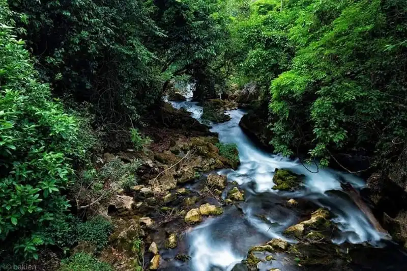 wanderlust-tips-ngo-ngang-tieu-cuu-trai-cau-ngay-tai-viet-nam-12