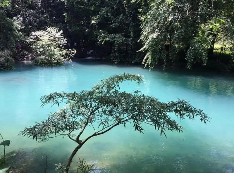 wanderlust-tips-ngo-ngang-tieu-cuu-trai-cau-ngay-tai-viet-nam-17