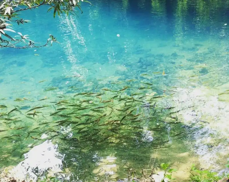 wanderlust-tips-ngo-ngang-tieu-cuu-trai-cau-ngay-tai-viet-nam-19