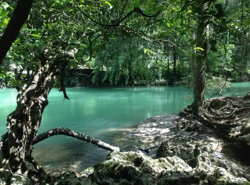 wanderlust-tips-ngo-ngang-tieu-cuu-trai-cau-ngay-tai-viet-nam-6