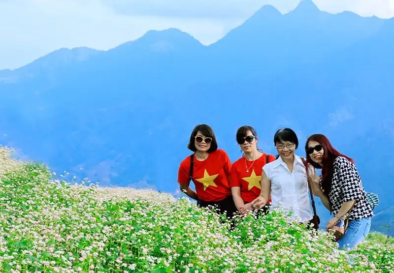 wanderlust-tips-ngo-ngang-vuon-hoa-tam-giac-mach-tai-fansipan-10