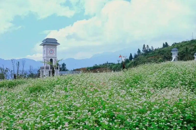 wanderlust-tips-ngo-ngang-vuon-hoa-tam-giac-mach-tai-fansipan-11