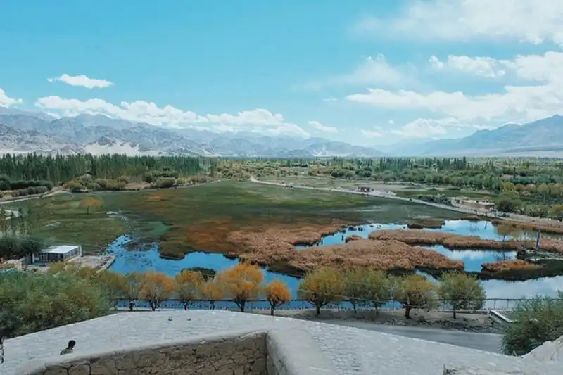 wanderlust-tips-rapper-tien-dat-cung-ban-gai-moi-di-du-lich-an-do-27