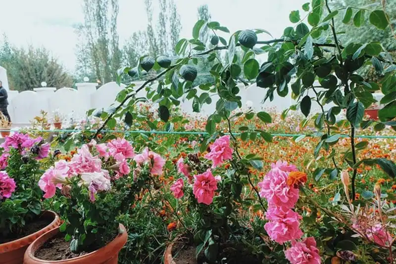 wanderlust-tips-rapper-tien-dat-cung-ban-gai-moi-di-du-lich-an-do-31