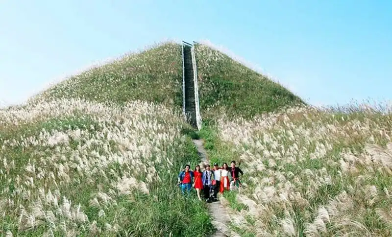 Tới Bình Liêu ngắm đồi cỏ lau đẹp như mơ 13 wanderlust-tips-toi-binh-lieu-ngam-doi-co-lau-trang-muot-10