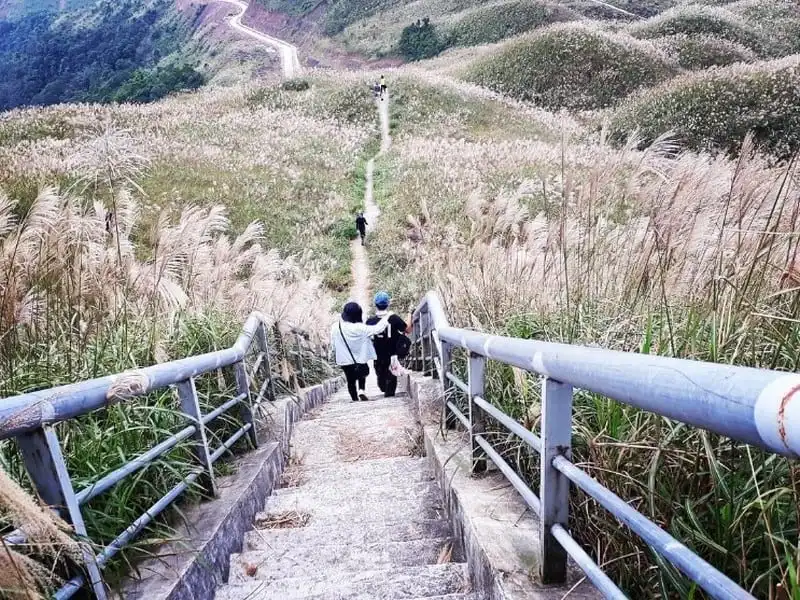 Tới Bình Liêu ngắm đồi cỏ lau đẹp như mơ 8 wanderlust-tips-toi-binh-lieu-ngam-doi-co-lau-trang-muot-11