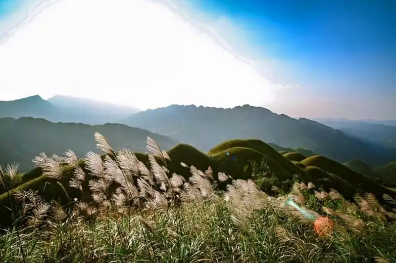 Tới Bình Liêu ngắm đồi cỏ lau đẹp như mơ 10 wanderlust-tips-toi-binh-lieu-ngam-doi-co-lau-trang-muot-3