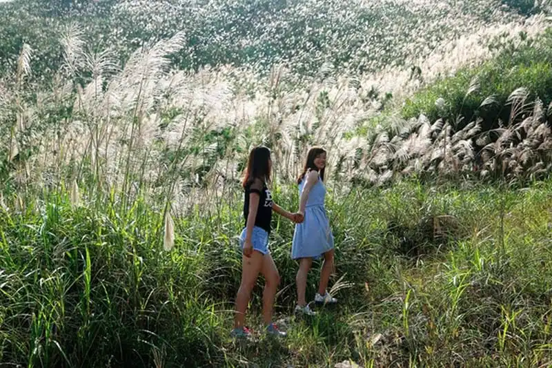 Tới Bình Liêu ngắm đồi cỏ lau đẹp như mơ 12 wanderlust-tips-toi-binh-lieu-ngam-doi-co-lau-trang-muot-9