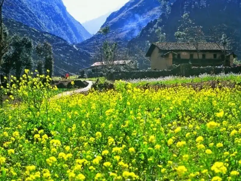 Tới Sủng Là - xã vùng cao đẹp nhất cao nguyên đá Đồng Văn 5 wanderlust-tips-toi-sung-la-xa-vung-cao-dep-nhat-cao-nguyen-da-dong-van-1