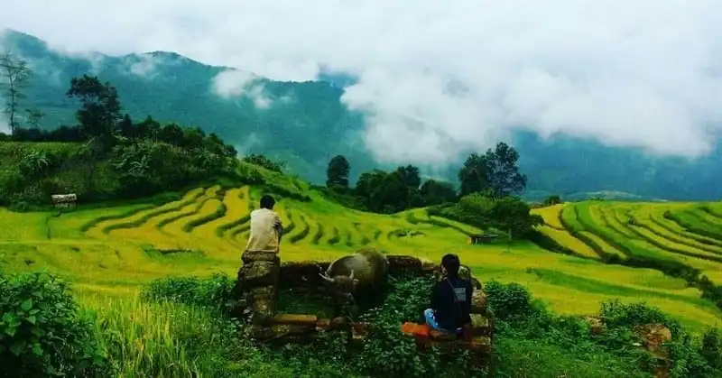 wanderlust-tips-trao-luu-san-may-cua-gioi-tre-viet-7