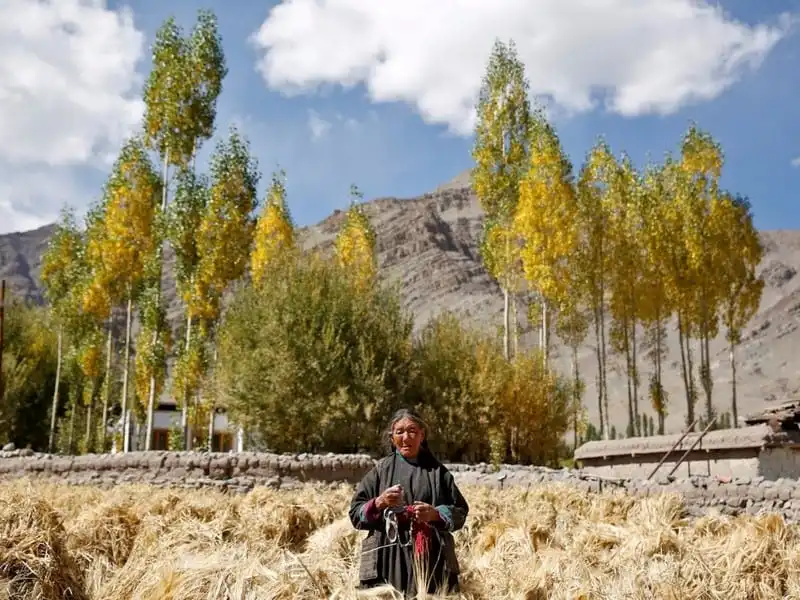 wanderlust-tips-van-hoa-phat-giao-dan-bien-mat-o-day-himalaya-11