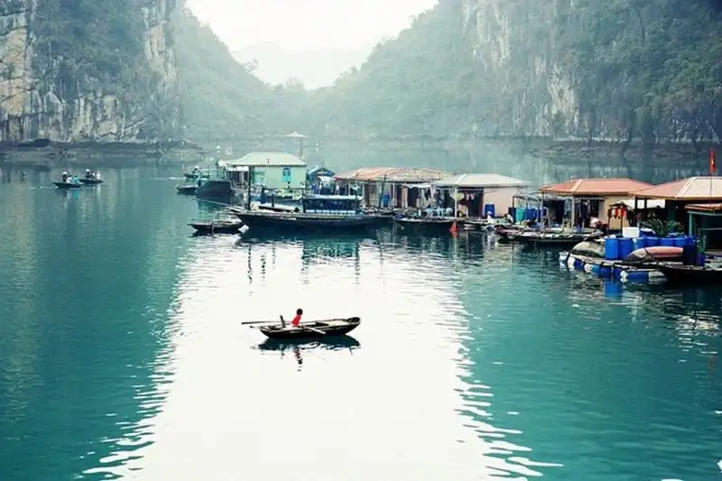 wanderlust-tips-viet-nam-thuoc-top-diem-den-than-thien-voi-moi-truong--1