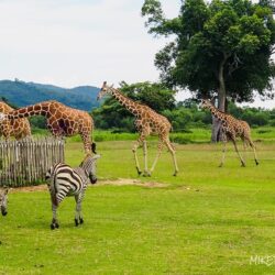 wanderlust tips 10 diem den thien nhien hoang da chau a 7