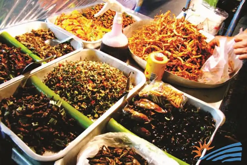 wanderlust_tips_10_mon_an_duong_pho_kinh_di_2