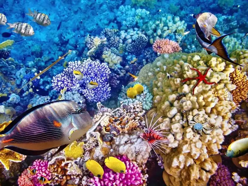 11 điểm đến mùa đông lý tưởng không lo dịch Zika 10 wanderlust_tips_11_diem_den_an_toan_6