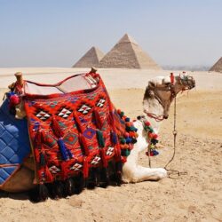 wanderlust tips 11 luu y khi du lich nuoc ngoai 1