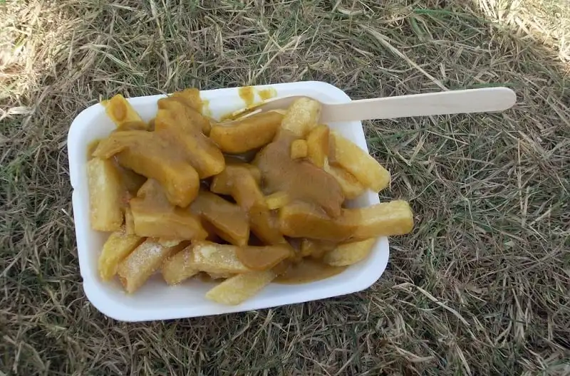 wanderlust_tips_13_bien_tau_cua_khoai_tay_chien_11