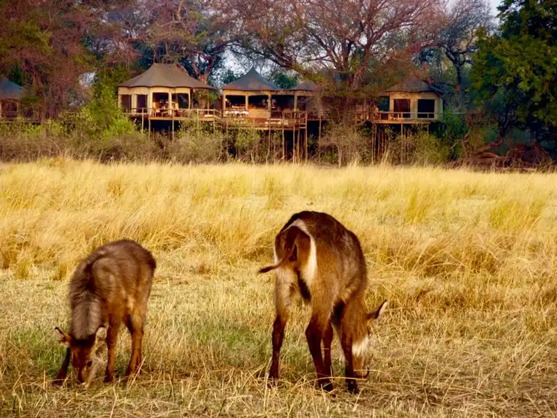 21 điểm đến dành cho những tín đồ yêu sự sang trọng, lạ thường 19 wanderlust_tips_21_diem_den_sang_trong_la_thuong_nam_2016_15