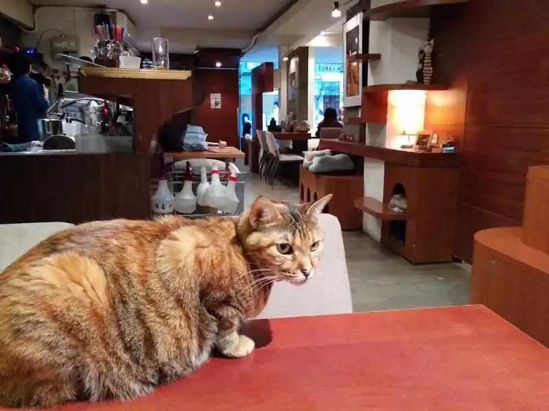 wanderlust_tips_50_hanh_trinh_ly_tuong_chau_a_36