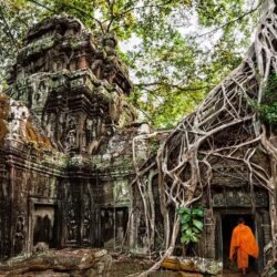 wanderlust tips 50 hanh trinh ly tuong o chau a 12