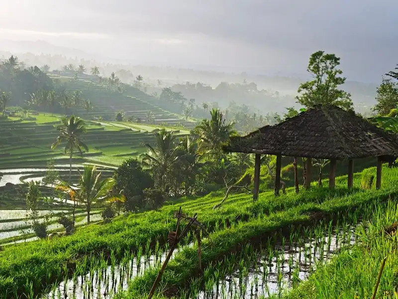 wanderlust_tips_50_hanh_trinh_ly_tuong_o_chau_a_25