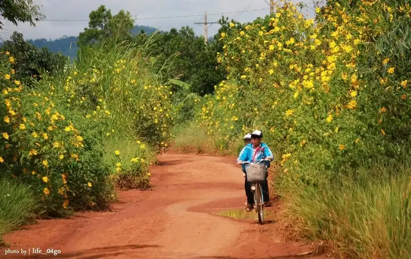 wanderlust_tips_5_diem_ngam_hoa_da_quy_doc_dat_nuoc_3