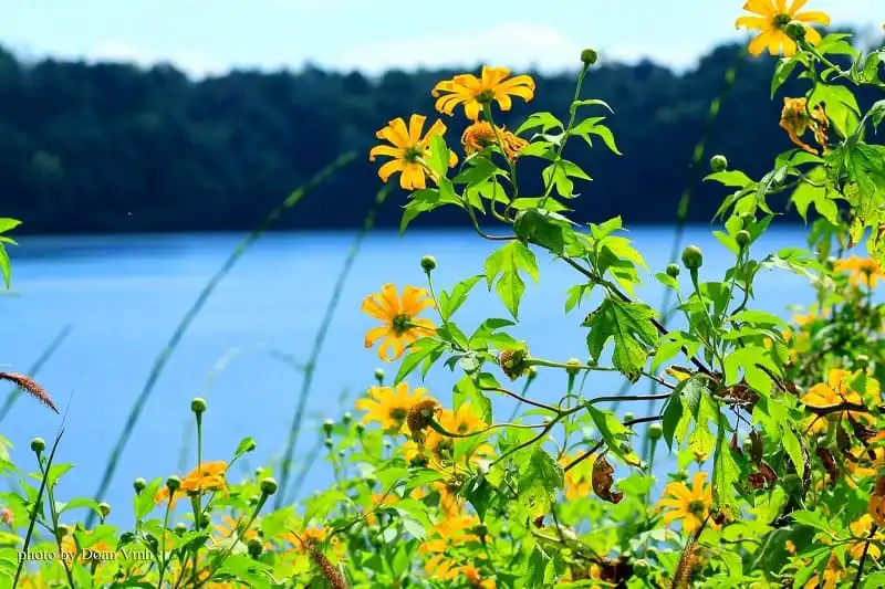 wanderlust_tips_5_diem_ngam_hoa_da_quy_doc_dat_nuoc_5