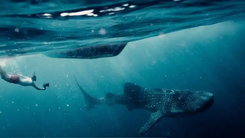 wanderlust_tips_Di-du-lich-duoc-tra-cong-voi-Beautiful-Destinations-4