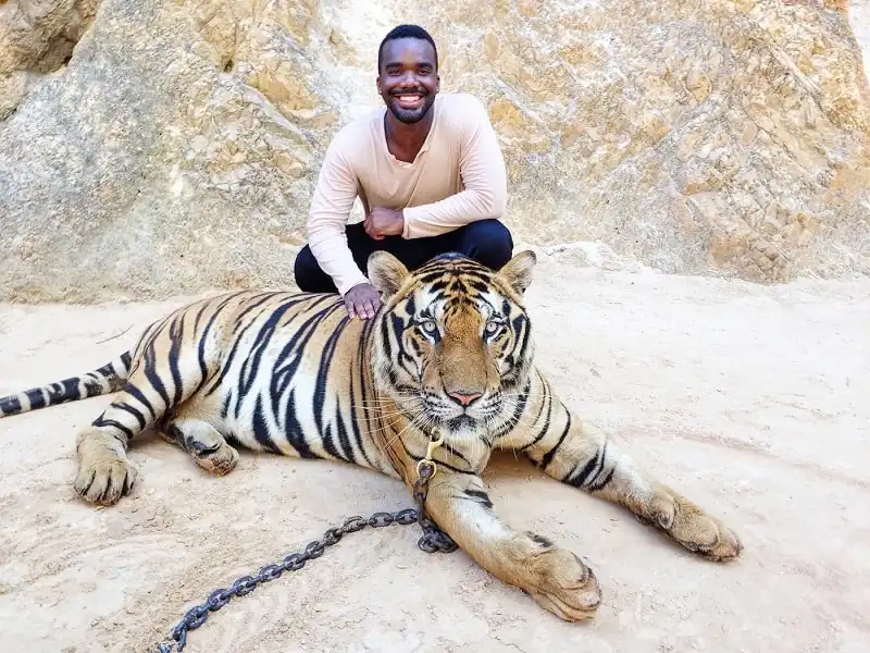 wanderlust_tips_TripAdvisor-ngung-ban-ve-toi-cac-diem-tham-quan-dong-vat-hoang-da-0