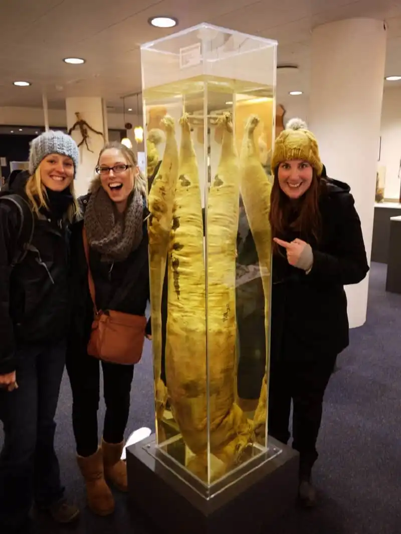 wanderlust_tips_bao_tang_trung_bay_cua_quy_4