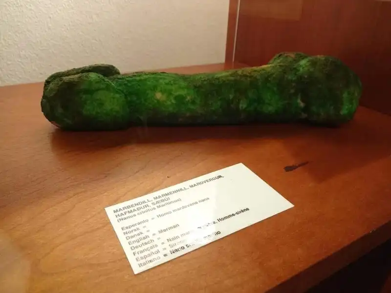 wanderlust_tips_bao_tang_trung_bay_cua_quy_8