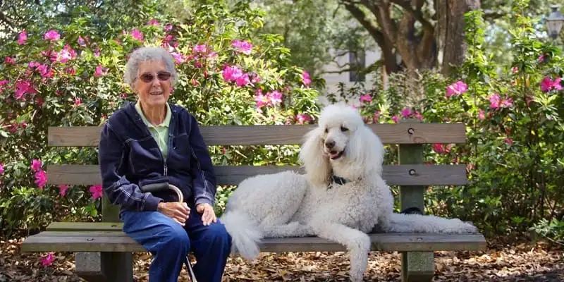 wanderlust_tips_cu-ba-91-tuoi-tu-choi-tri-lieu-ung-thu-de-di-du-lich-da-qua-doi-3