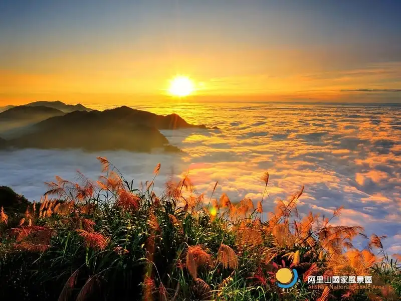 Đài Loan – Điểm đến lý tưởng của hội họp và y tế 7 wanderlust_tips_diem_den_ly_tuong_hoi_hop_va_y_te_7